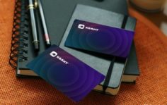 Франшиза РУС КВАНТ: Внедрение IT системы управления бизнеса