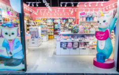 Франшиза SWEET CAT SHOP: Бренд яркой канцелярии