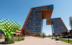 Франшиза myCASHBACK.me: Разработка мобильных приложений и комплексная автоматизация бизнеса