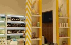 Франшиза Cityshop SKINFOOD: Магазин корейской косметики