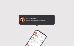 Франшиза SunPanda: Сеть сервисов доставки еды