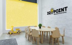 Франшиза IQ POINT: Образовательные технологии для детей и взрослых