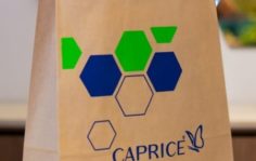 Франшиза Caprice: Магазины женской обуви