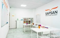 Франшиза SAPSAN: Школа развития интеллекта