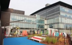 Франшиза One! International School: Сеть современных международных садов и начальных школ