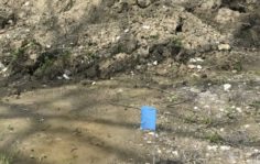 Франшиза WATERFIND: Услуги гидрогеологии и разведки воды