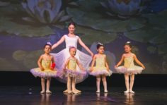Франшиза Балет с 2 лет: Международная сеть балетных школ
