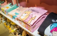 Франшиза SWEET CAT SHOP: Бренд яркой канцелярии