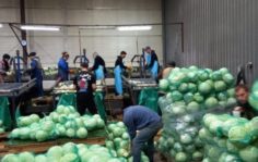 Франшиза РАБОЧИЙ КЛАСС: Предоставление рабочего персонала