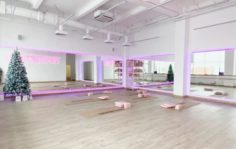 Франшиза TOPSTRETCHING™: Международная сеть студий растяжки и фитнеса