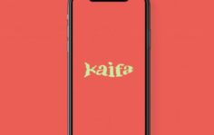 Франшиза Доставка Kaifa: Сеть филиалов доставки суши, роллов