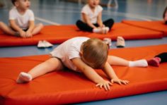 Франшиза GYMCHEL: Федерация Гимнастики