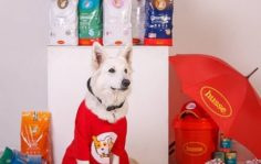 Команда Husse