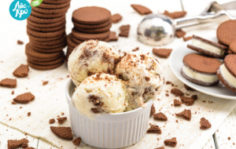 Франшиза ICECRO: Натуральное мороженое на любой вкус