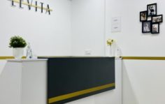 Франшиза LEVITA: Международная сеть студий балета и растяжки