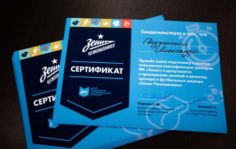 Франшиза Зенит-Чемпионика