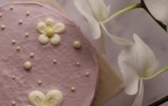 Франшиза Брецель: Федеральная сеть пекарен