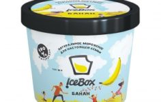 Франшиза IceBox: Натуральное мороженое