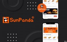 Франшиза SunPanda: Сеть сервисов доставки еды