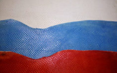 Франшиза Fish Skin Leather: Производство рыбьих кож