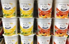 Франшиза Лактис: Производство, переработка и продажа цельномолочной продукции