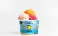 Франшиза IceBox: Натуральное мороженое