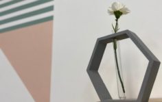 Франшиза Lingvist: Сеть языковых школ
