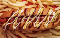 Франшиза FREE&CO: Fast food по системе freemium