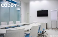 Франшиза CODDY: Детские школы программирования и дизайна