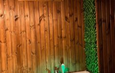 Франшиза Алтайская здравница: Первый Таёжный SPA в России