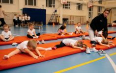 Франшиза GYMCHEL: Федерация Гимнастики