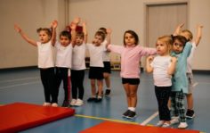 Франшиза GYMCHEL: Федерация Гимнастики