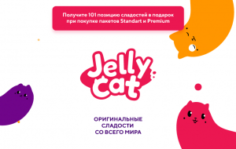 Франшиза Jelly Cat: Instagram-магазин сладостей и сладких подарков