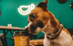 Франшиза ETLON COFFEE: Федеральная сеть кофеен