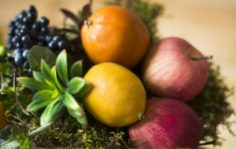 Франшиза TERRAFIORI: Магазин имитаций живых цветов