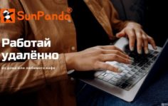 Франшиза SunPanda: Сеть сервисов доставки еды