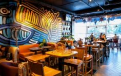 Франшиза Tucano Coffee: Кофейня, как креативное пространство
