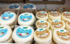 Франшиза Лактис: Производство, переработка и продажа цельномолочной продукции
