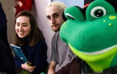 Франшиза Frog school: Центр изучения английского языка