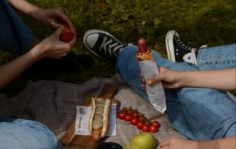 Пикник с хотдогами
