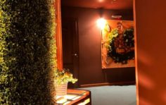 Франшиза Алтайская здравница: Первый Таёжный SPA в России