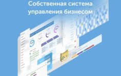 Собственная система управления бизнеса