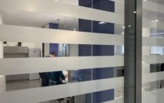 Франшиза Law Business Group