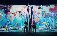 Франшиза Hello Park: Крупнейшая сеть мультимедийных парков развлечений
