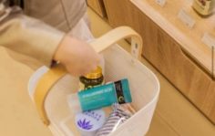 Франшиза MYSKIN: Корейская косметика