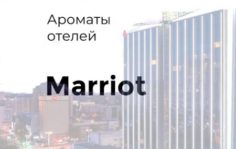 Франшиза DECCAWALD Aroma: Аромамаркетинг
