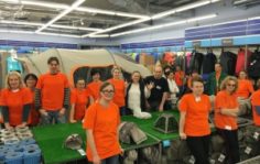 Франшиза ORRLA: Инвентаризация имущества