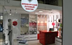 Франшиза Оренбургский пуховый платок: Продажа изделий из пуха