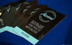 Франшиза Alcreme: Алкогольное и крафтовое мороженое