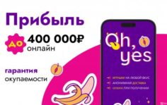 Франшиза OH YES: Интернет-магазин интим-товаров